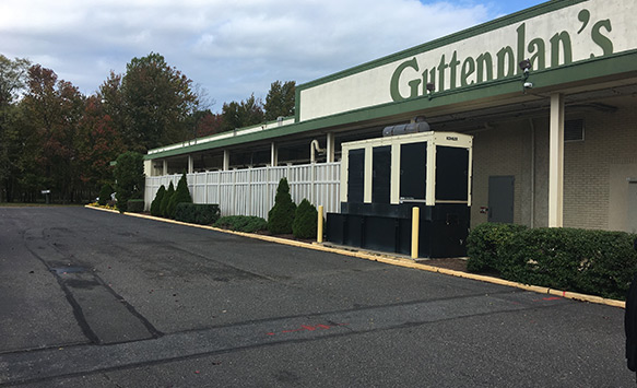 Guttenplans