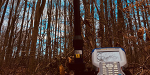 Tree Location Surveys