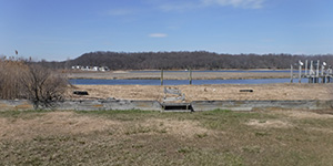 Wetland Surveys